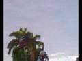 videos de Neli,demente mc..