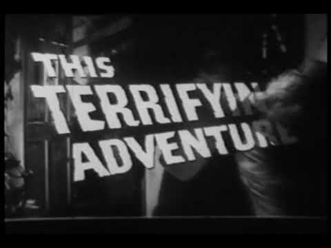 The Last Man on Earth