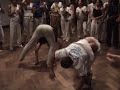 professor-formiga.html