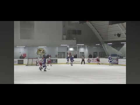Alex revenko - goal from blue line