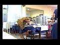 clip yabon