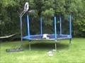 trampoline basket