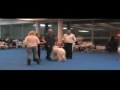 Cosack Chaika Beliy Boyar VS Visky Lyutiy2007/12/16