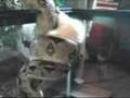 Snake-Eats-Rat-Anoth