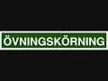 Carl-Gustaf Lindstedt - Bilskoll�raren