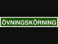 Carl-Gustaf Lindstedt - Bilskolläraren