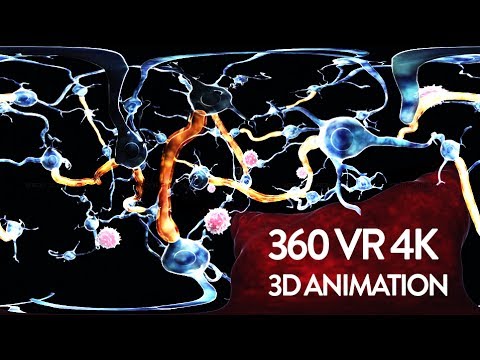 360 VR Video - Central Nervous System -  Inside Human Body - YouTube