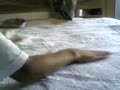 Magic.S - *2 - The incredible coin matrix trick Magic.S - *2 - The incredible coin matrix trick