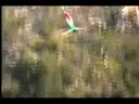 www.faceadrenalin.com Bloukrans Bungy Barry Mahon www.faceadrenalin.com Bloukrans Bungy Barry Mahon