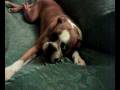 videos de 04122008009.mp4