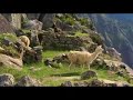 Machu Pichu