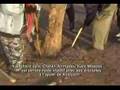 serigne modou kara