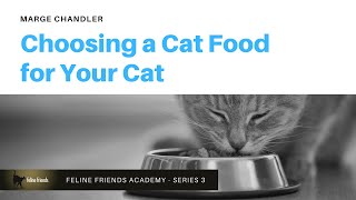 Choosing a Cat Food for Your Cat