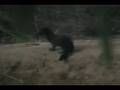 Mink visits the martinez beavers