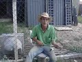 zanata o contador de lorotas