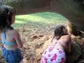 Dinasaur Giving Birth