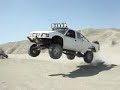Ocotillo/prerunners
