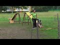 tash & vanya, agility novice, pavlovsk tash & vanya, agility novice, pavlovsk