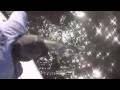 videos de Christmas time tarpon.