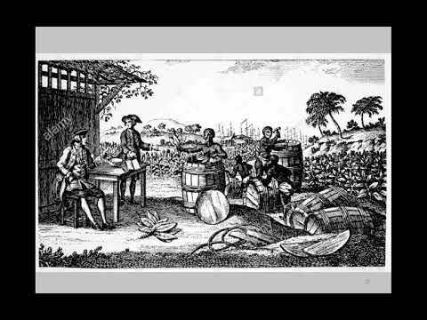 4b American Slavery American Freedom Slavery in the British American Colonies
