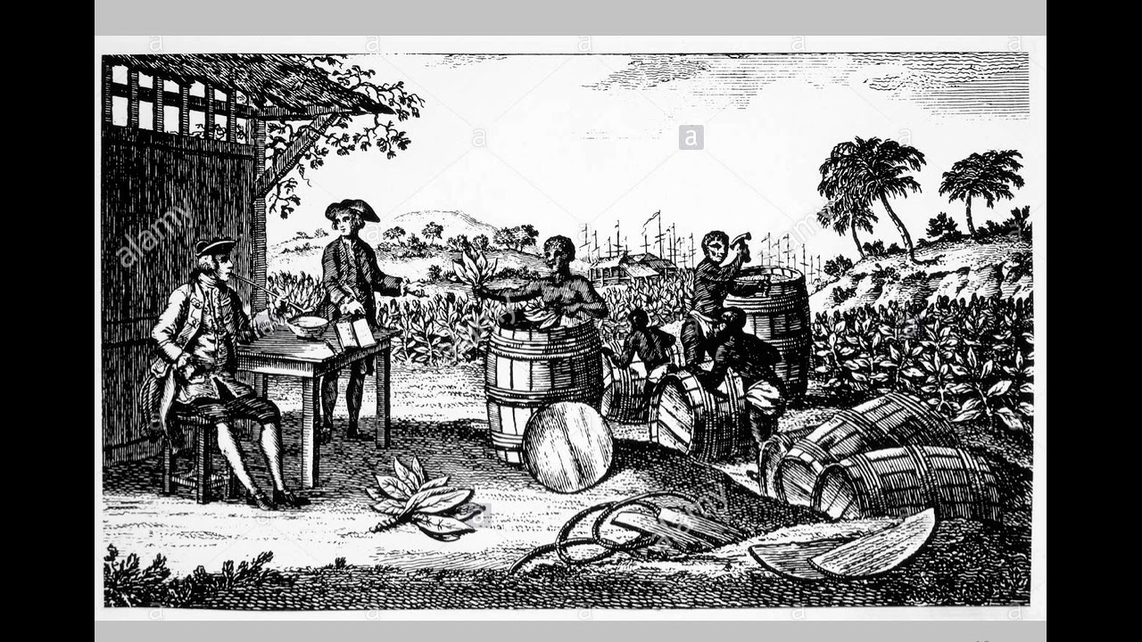 4b American Slavery American Freedom Slavery in the British American Colonies