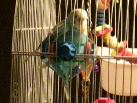 MVI_1844.avi