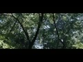 Reproducir v&iacute;deo