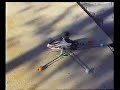 MIni TiTan First Hovering MIni TiTan First Hovering