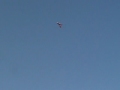 Flying the new rc plane.