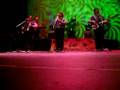 Vibora Broadway los Palmeras