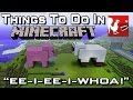 Things to do in: Minecraft - EE-I-EE-I-WHOA!