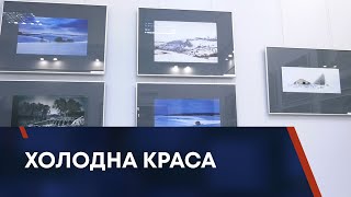 Холодна краса