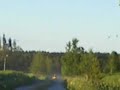 marknadsloppet-skidoo-elan-643.html