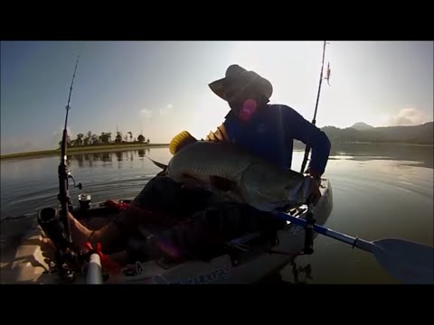 how to measure mud crab size qld