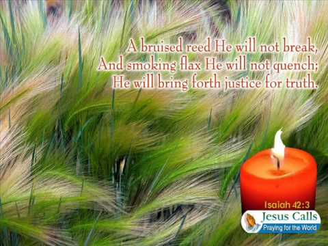 Jeevanadhini Naa Hrudayamulo
