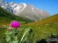 La montagne