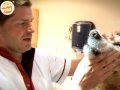 Dierenkliniek Feld Amersfoort