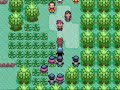 Pokémon Heroes 24 Pokémon Heroes 24