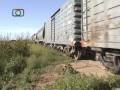 videos de Tren granero de NCA con destino a Río Primero en cercanías de James Craik
