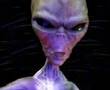 Reticulan