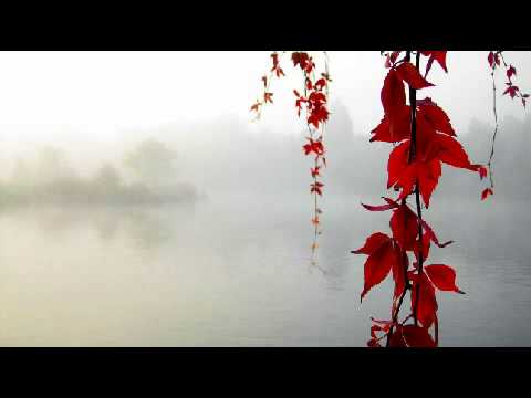 Ravi Shankar - Memory Of Uday (Tana Mana)