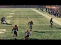 B. Quinn pass to J. Lewis for 72yds TD-Madden nfl 09 ps3