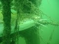 Freediving for Catfish