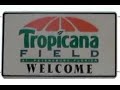 Welcome to Tampa