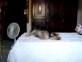 Jhonny fazendo esfrega esfrega