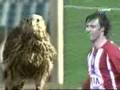 videos de falconscontrol.es