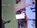 2 foot treeflip