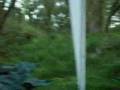 muschroom party in the forest