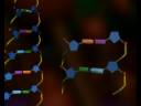Modificant els genomes