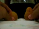 Shinji vs. Coxinha Shinji vs. Coxinha